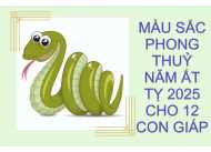MÀU SẮC PHONG THỦY NĂM ẤT TỴ 2025 CHO 12 CON GIÁP